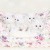 White Chinchilla Persian Kittens | Daniels_ShabbyChic-5-Edit.jpg