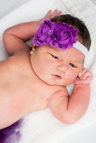 Sweet Baby Girl! | Macomb County Child Photographer